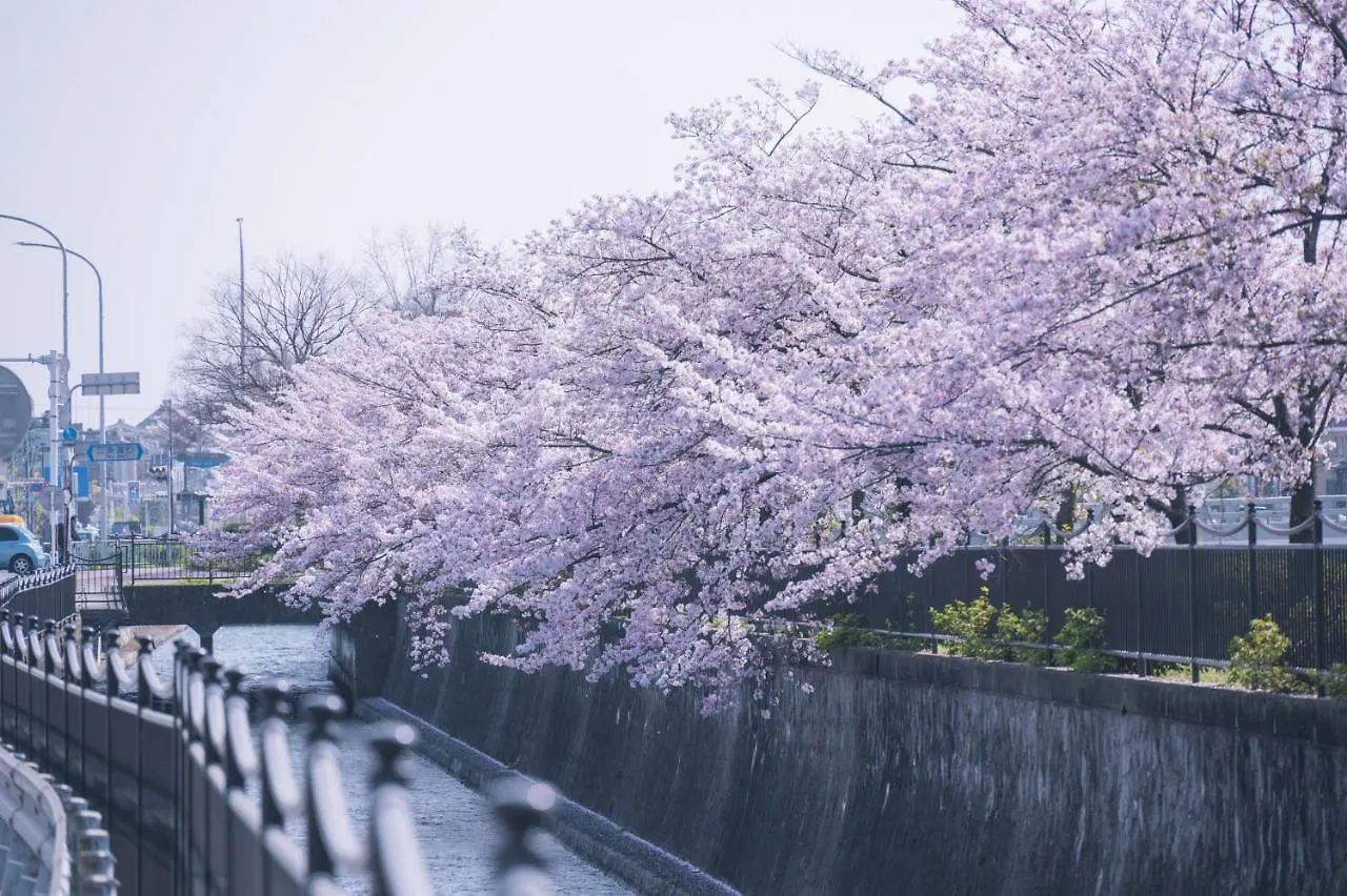 Kamo River J~House Kyoto Japan